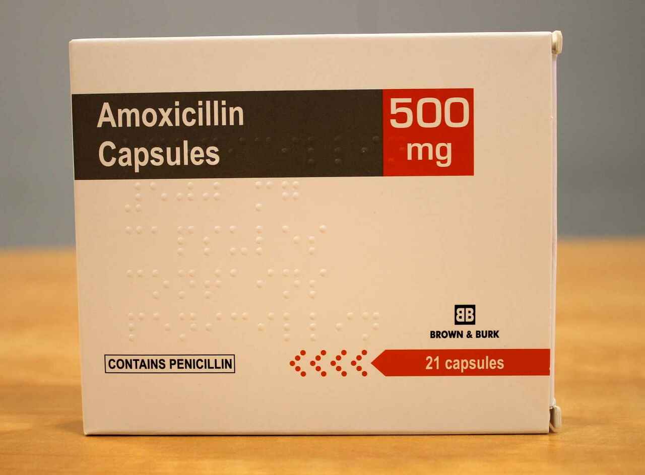 دواعي استعمال amoxicillin 500